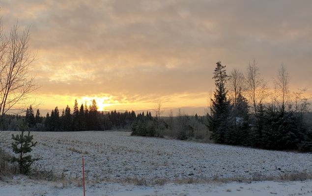 Kaamoksen aurinko pilkotti vähän Venäjän suunnasta joulukuun alkupuolella.