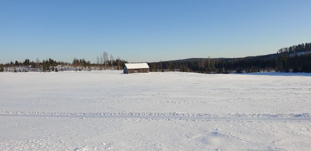 Luminen talvi mahdollisti huikeat ladut Kangaskosken ja Lahnasen välille kumpuilevaan peltomaisemaan. Käytiinpä helmipatikassakin samoilla pelloilla. Tosin suureksi osaksi reitti vei mahdollisimman lähellä jokea.